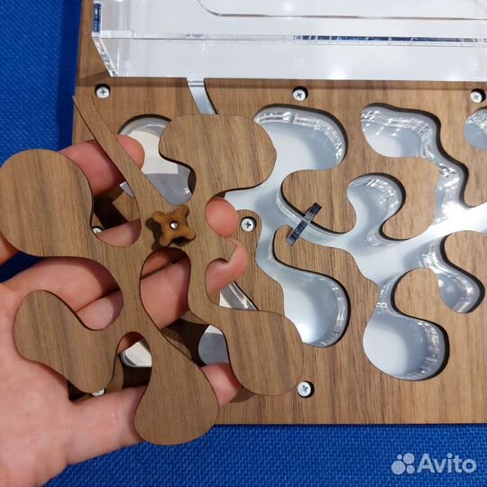 Новая Муравьиная ферма AntPlanet Американский орех