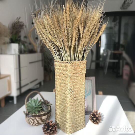 Рожь декоративная