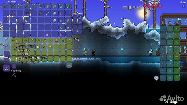 Terraria (Steam)