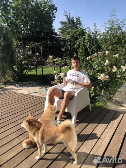 Репетитор по математике