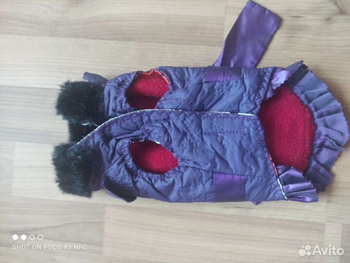 Одежда для маленькой собачки