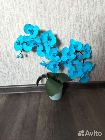 Орхидея, цветы