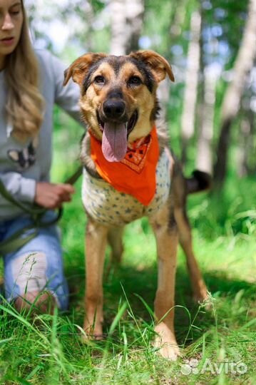 Небольшая девочка ждет свою семью