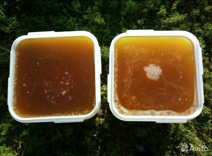 Мед разнотравье светлое оптом