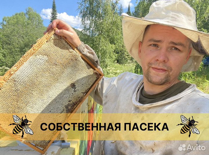 Мед натуральный, дегустация