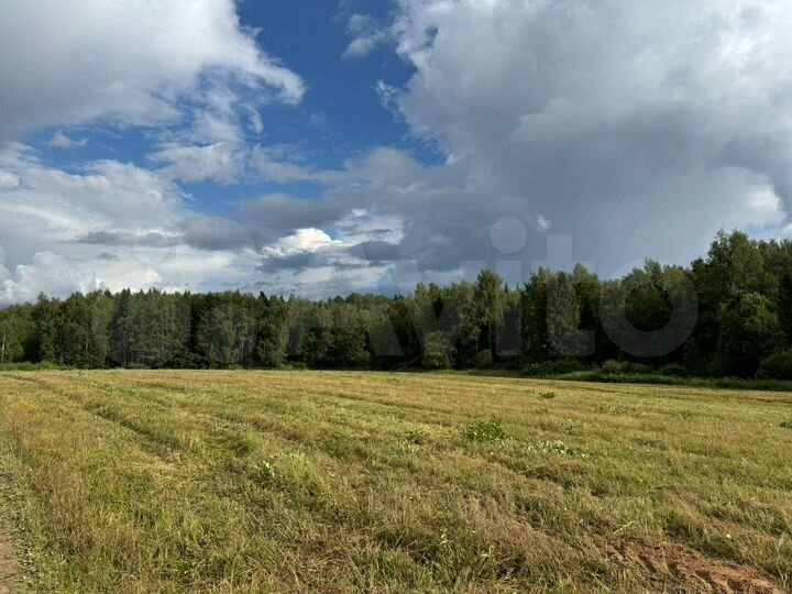 Участок 6 сот. (СНТ, ДНП)