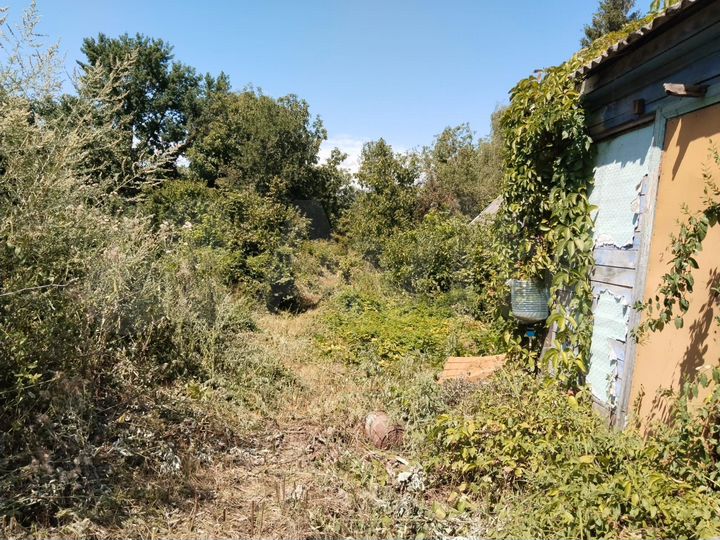 Участок 12 сот. (СНТ, ДНП)