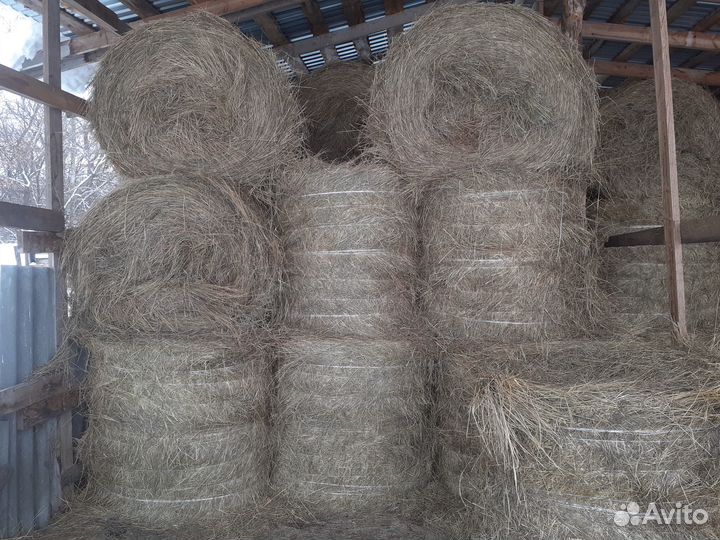 Сено зеленое