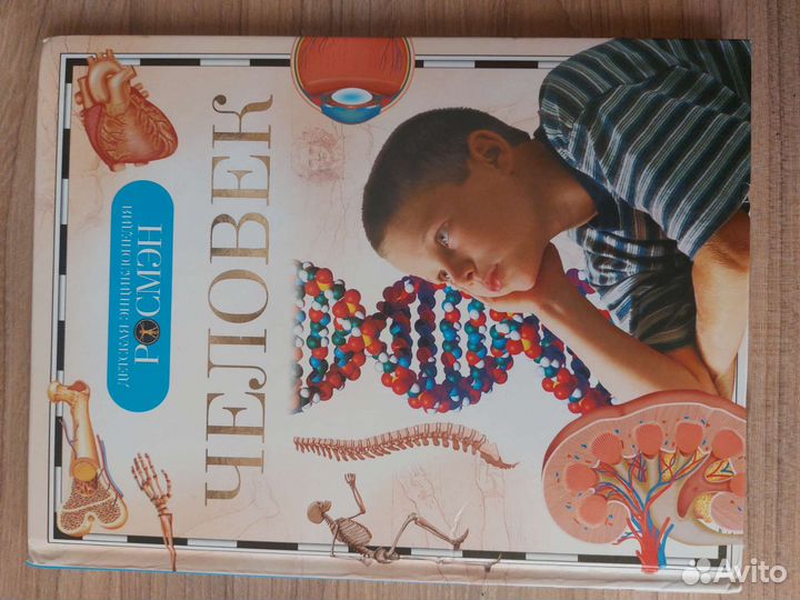 Развивающие книги для детей