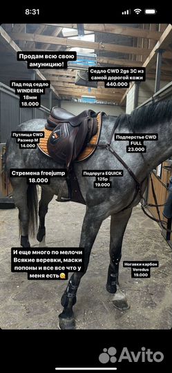 Конная амуниция