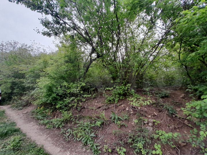 Участок 5,7 сот. (СНТ, ДНП)