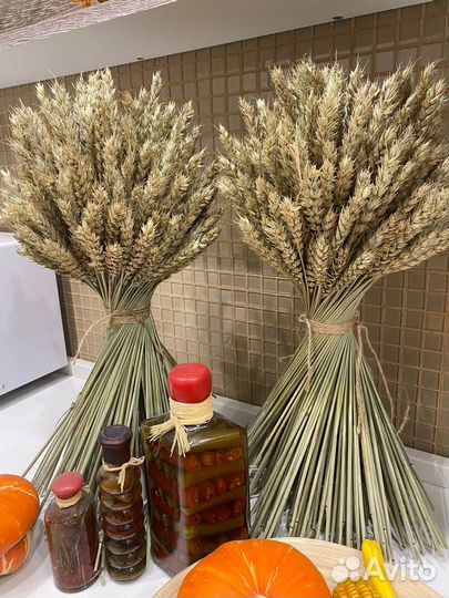 Снопы и букеты пшеницы