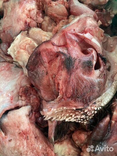 Говяжьи обрези для собак