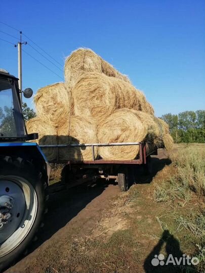 Сено в рулонах