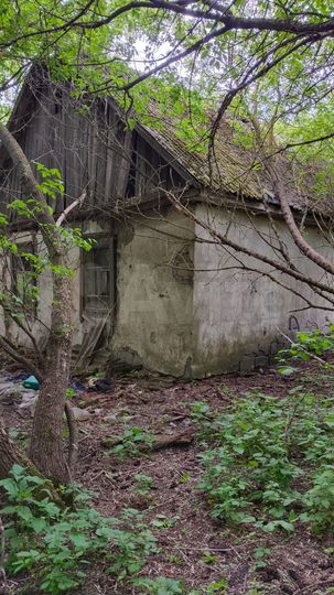 Участок 50 сот. (ИЖС)