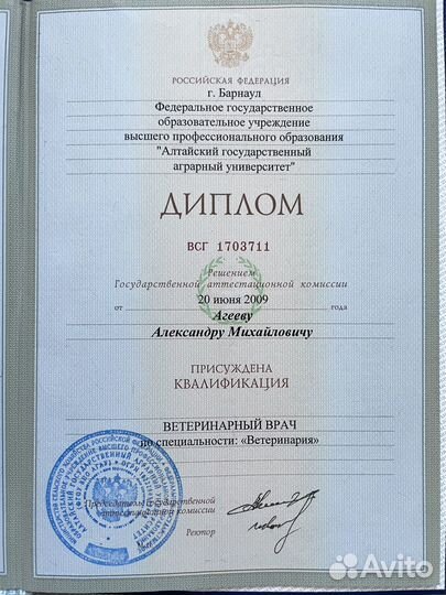 Кастрация котов, кобелей, собак на дому