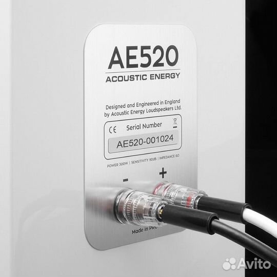 Напольная акустика Acoustic Energy AE520