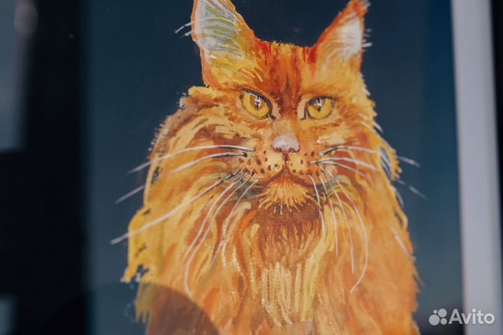 Кот мейн-кун в добрые руки (картина, акварель)