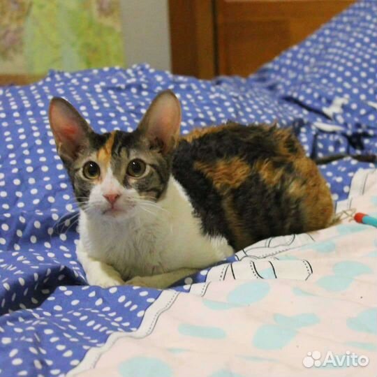 Ева с документами