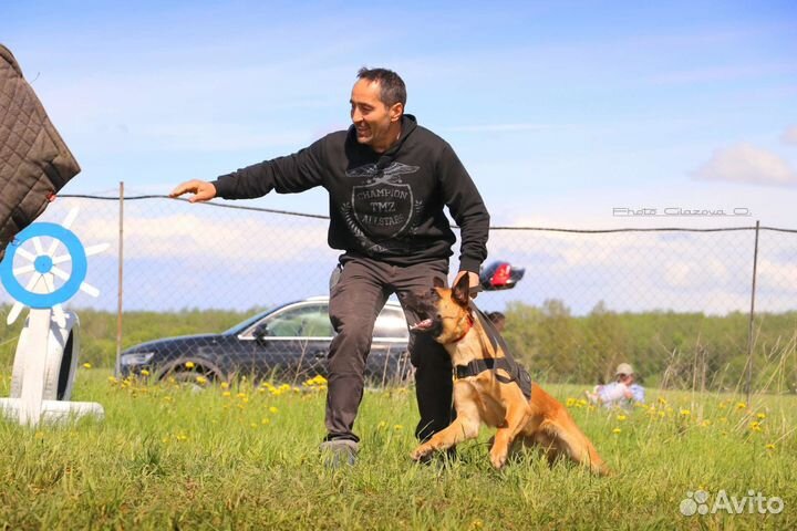Услуги кинолога