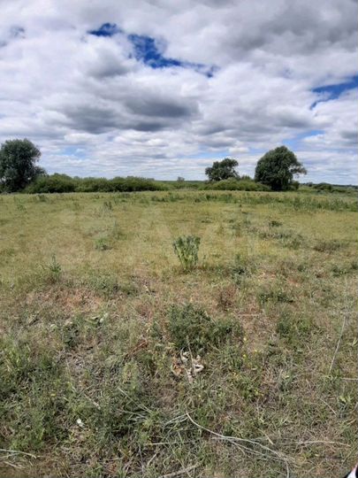 Участок 15 сот. (ИЖС)