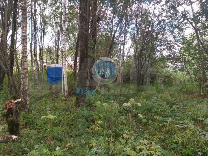 Участок 12 сот. (СНТ, ДНП)