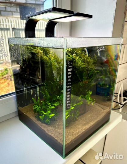 Аквариум Aquael куб 30л