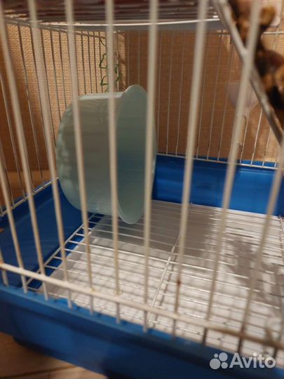 Клетка для грызунов