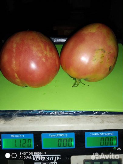 Продаю семена