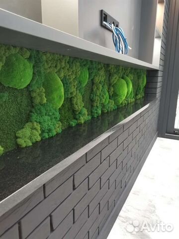 Мох стабилизированный фитокартина фитостена панно