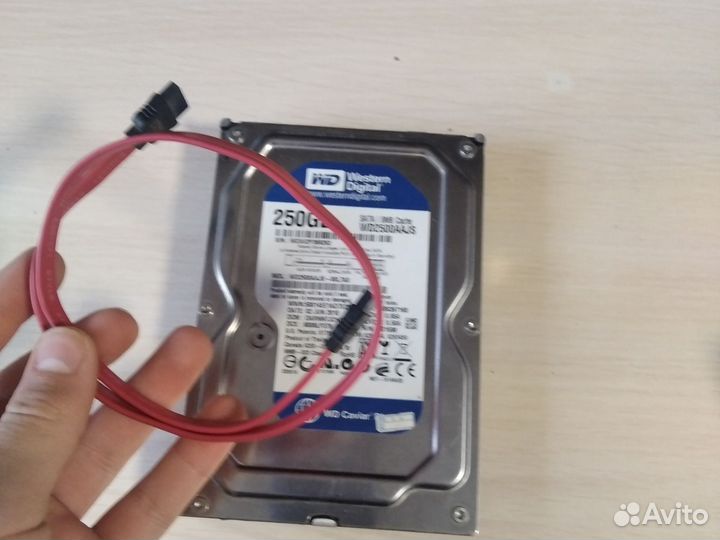 Жесткий диск WD 250Gb