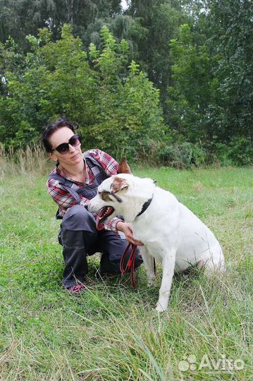 Счастье в дом