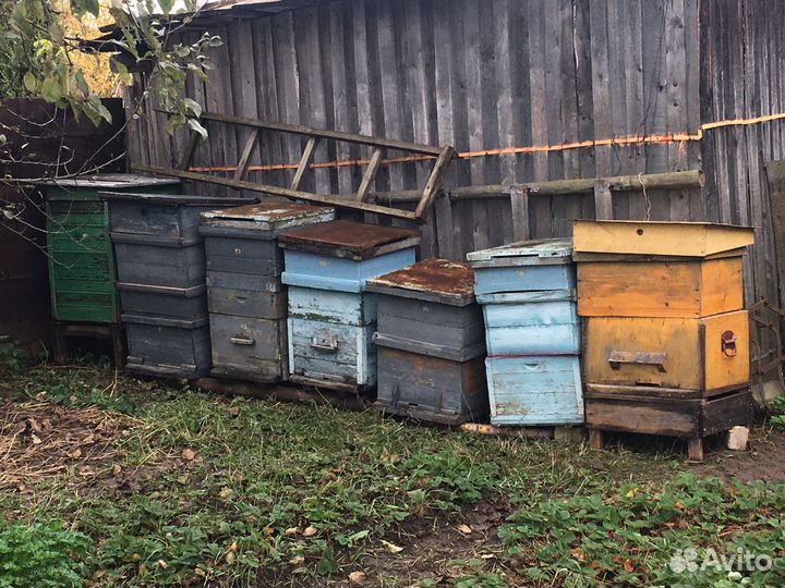 Улей для пчел
