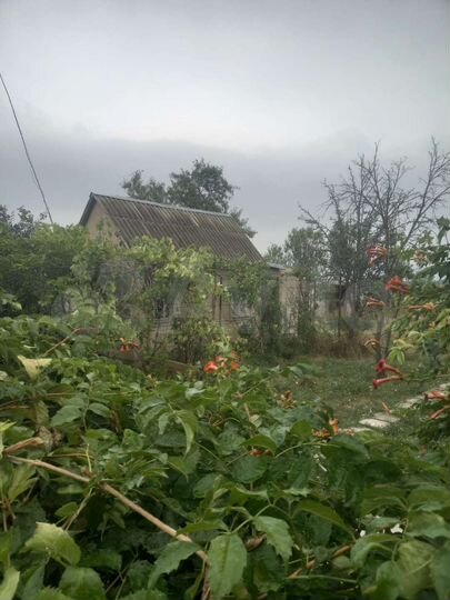 Дом 20 м² на участке 5 сот.