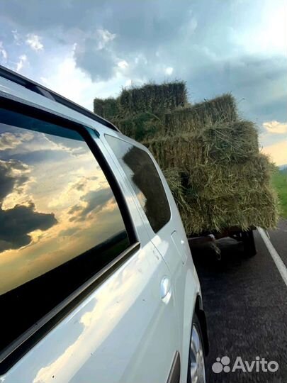 Сено, солома в тюках