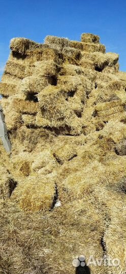Солома в тюках