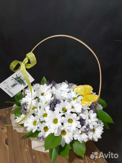 Хризантема