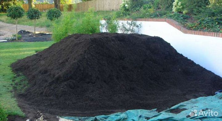 Чернозем луговой, рассыпчатый