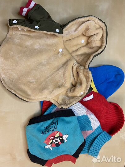 Одежда для маленьких собак s