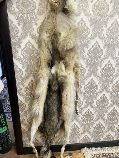 Шкура волка