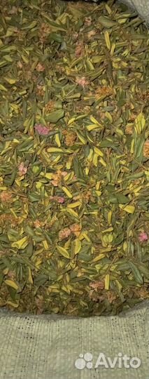 Чай Саган-Дайля