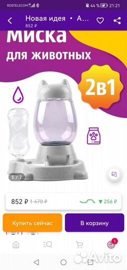 Миска и одежда для кошек, переноска