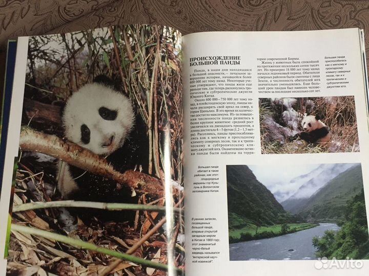 Книги новые