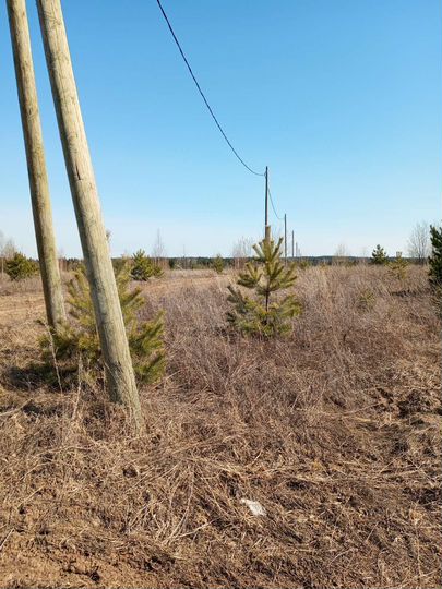 Участок 14 сот. (ИЖС)