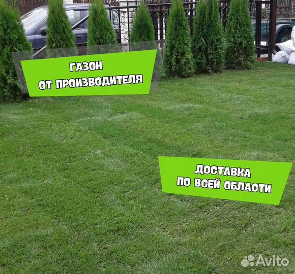 Рулонный газон