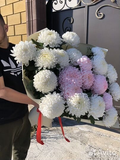 Букет из Хризантемы Доставка цветов