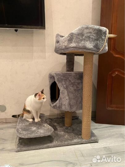 Когтеточка домик для кошки с лежанкой