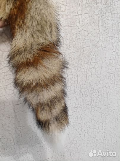 Лисий хвост