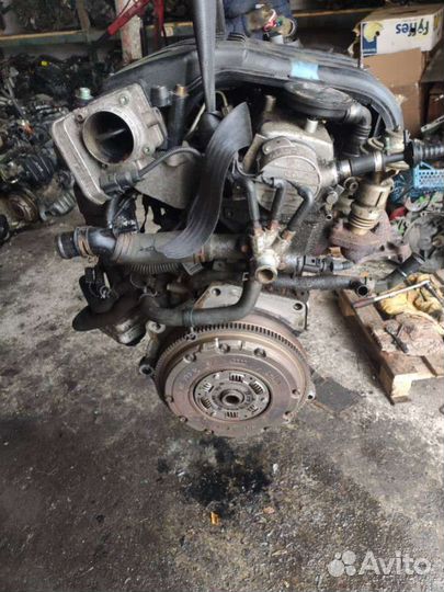 Двигатель Volkswagen Golf 4 (1997 - 2006) 1.9 AYQ
