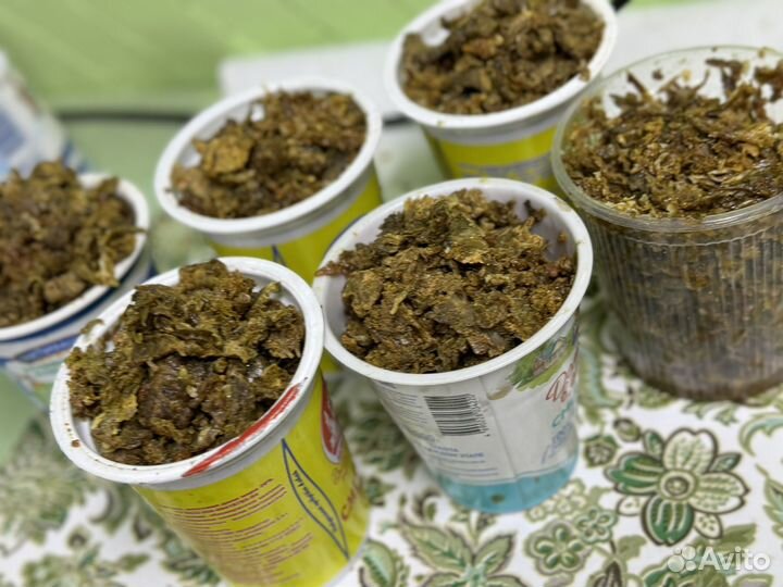 Прополис пчелиный